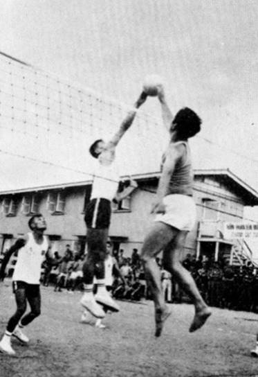 dau volley